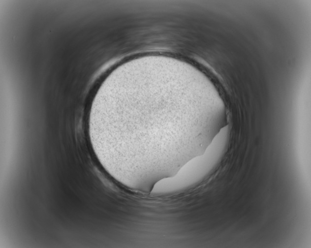 X0000083581452200703091648