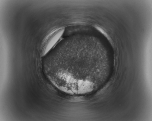 X0000083581453200703091648