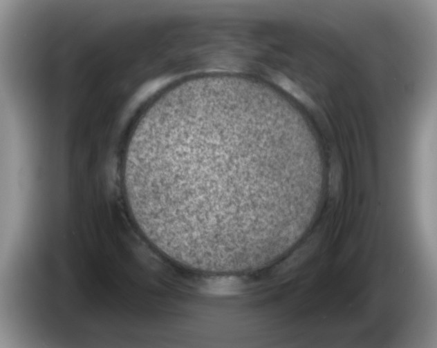 X0000083581454200703091648