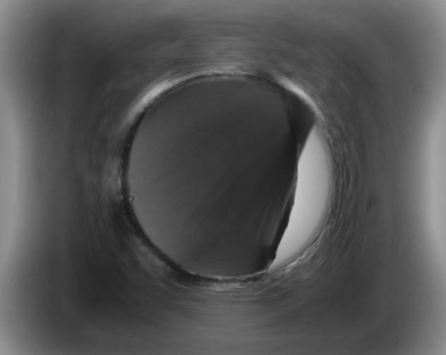 X0000083581455200703091648