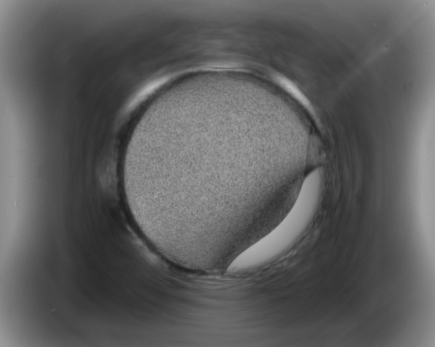 X0000083581456200703091648