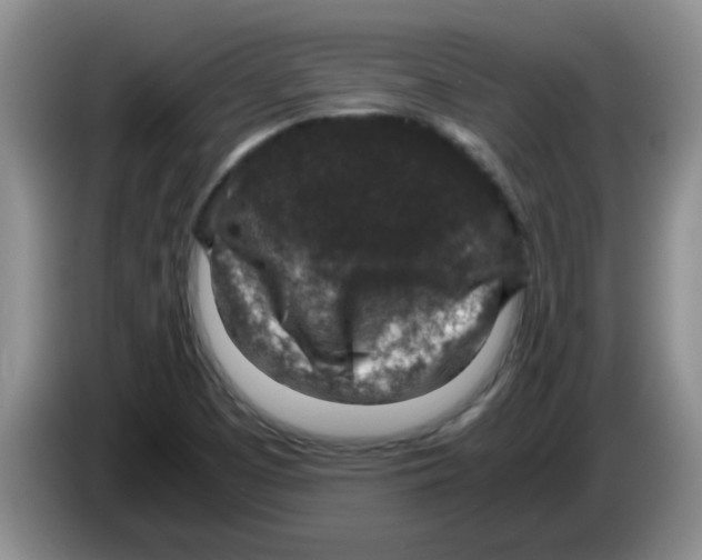 X0000083581457200703091648