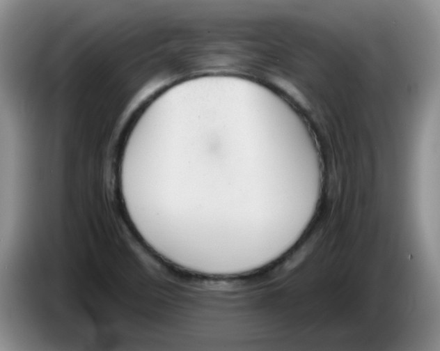 X0000083581458200703091648