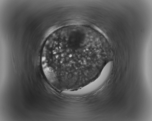 X0000083581459200703091648