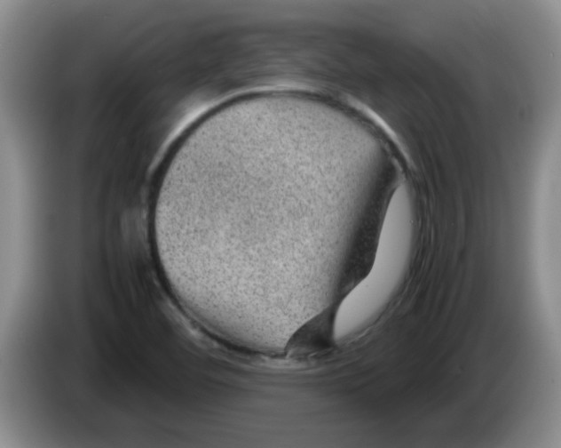 X0000083581460200703091648
