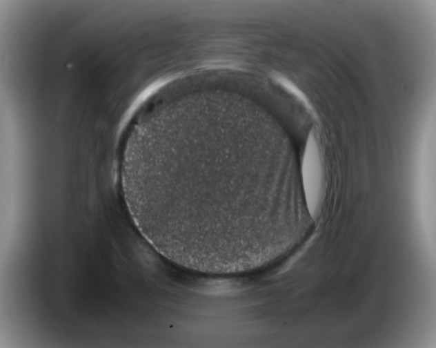 X0000083581461200703091648