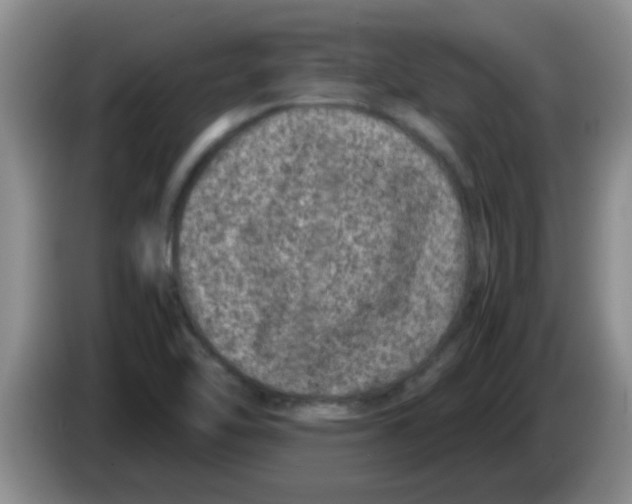 X0000083581462200703091648