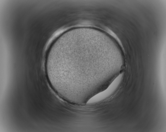 X0000083581464200703091648