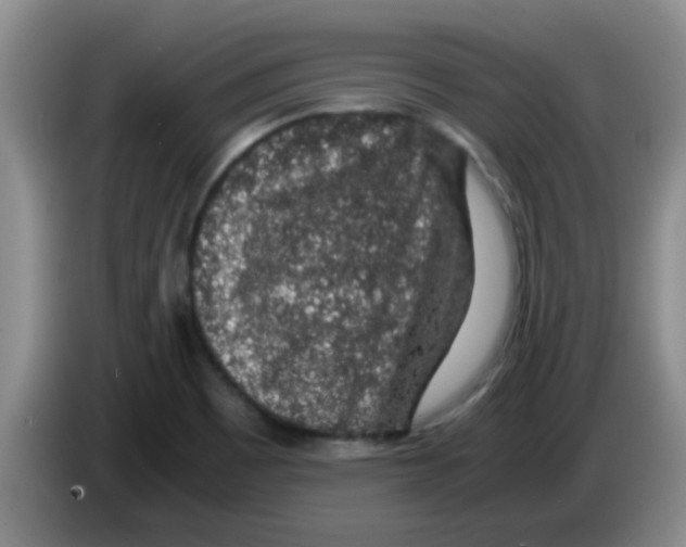 X0000083581465200703091648