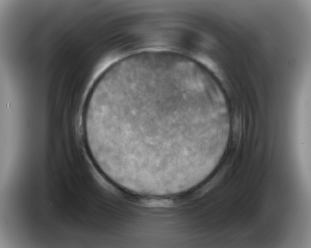 X0000083581466200703091648