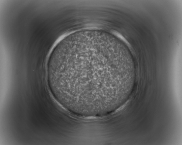 X0000083581467200703091648