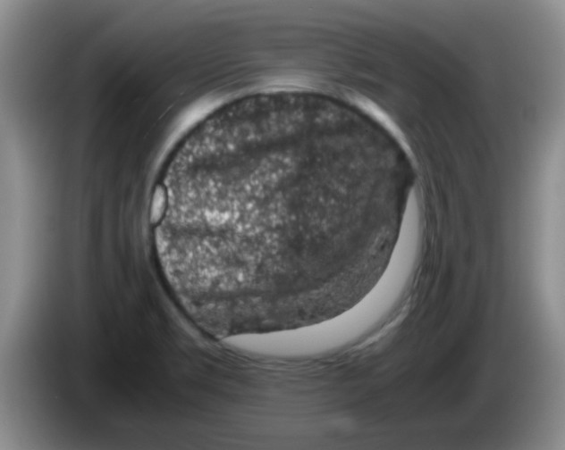 X0000083581469200703091648