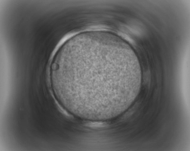X0000083581470200703091648