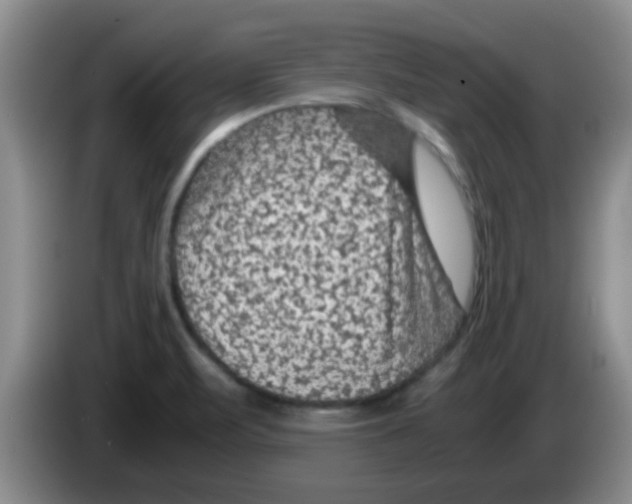 X0000083581471200703091648