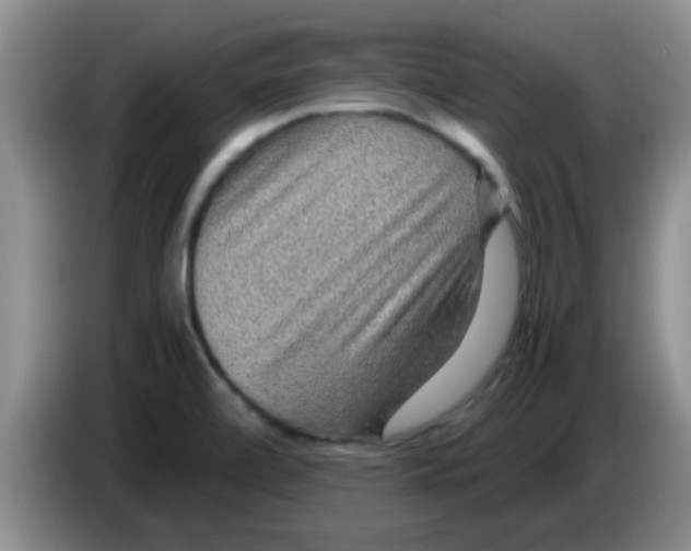 X0000083581472200703091648