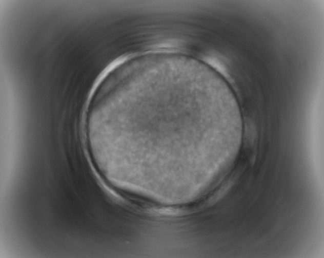 X0000083581474200703091648