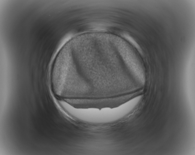 X0000083581475200703091648