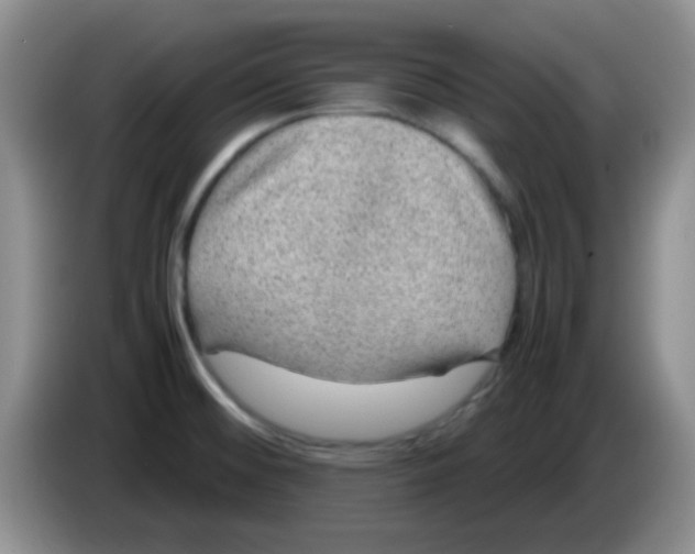 X0000083581476200703091648