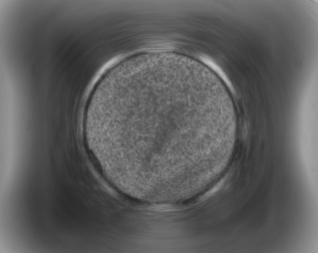 X0000083581477200703091648