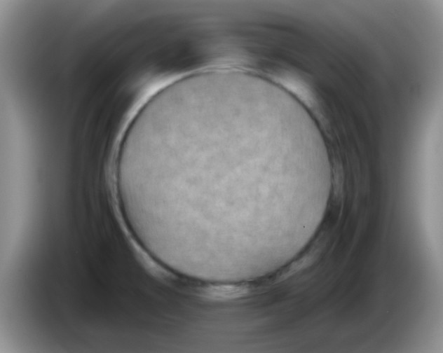 X0000083581478200703091648