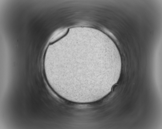 X0000083581479200703091648