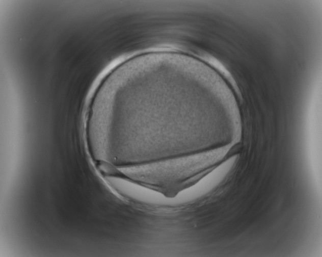 X0000083581480200703091648