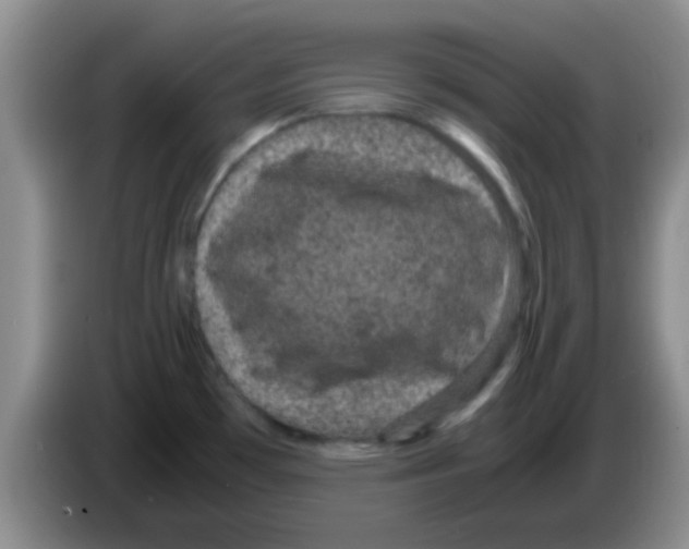 X0000083581481200703091648
