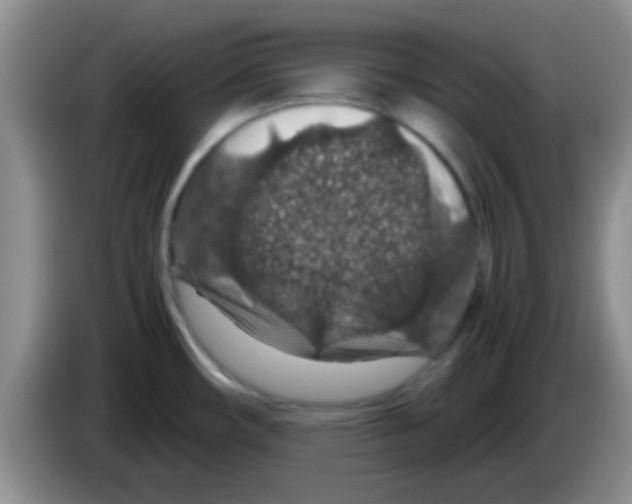 X0000083581482200703091648