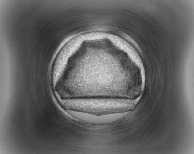 X0000083581483200703091648