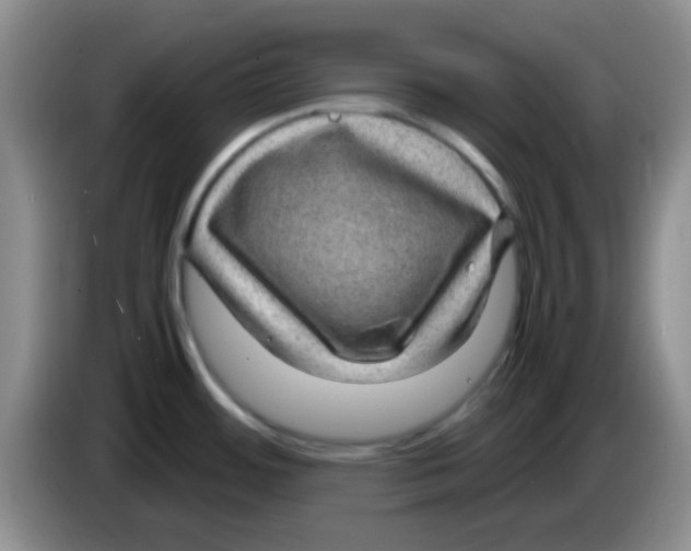 X0000083581484200703091648