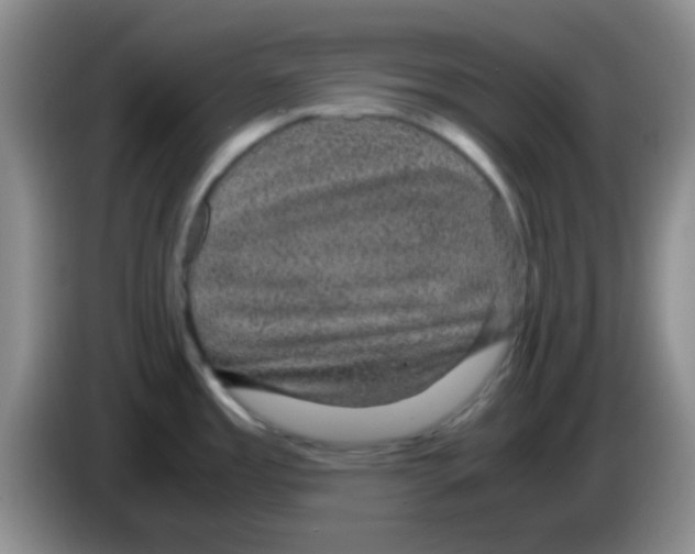 X0000083581485200703091648