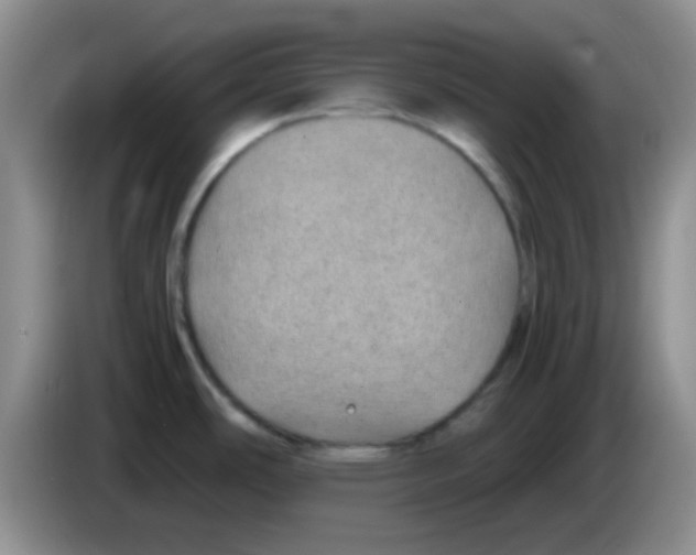 X0000083581486200703091648