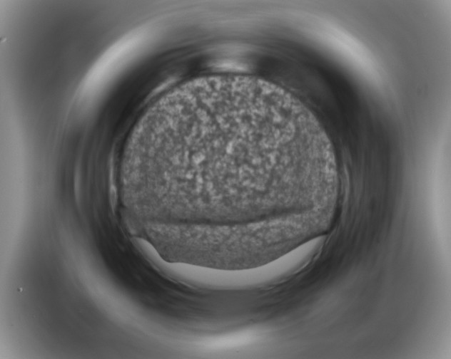 X0000083581487200703091648