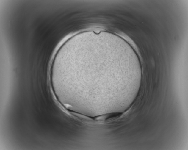 X0000083581488200703091648