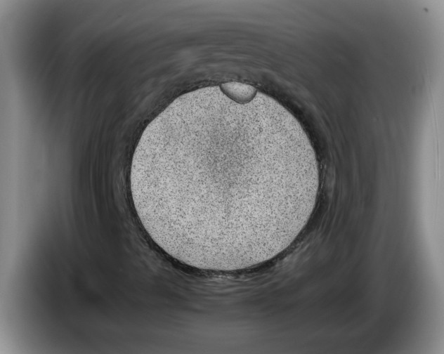 X0000083581489200703091647