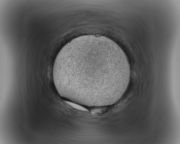X0000083581490200703091647