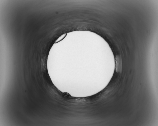 X0000083581491200703091647