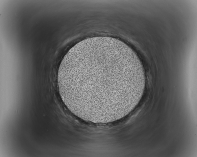 X0000083581494200703091647