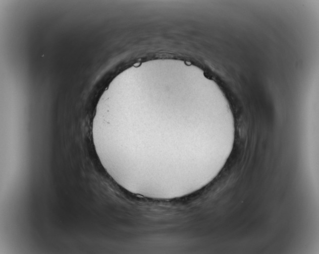 X0000083581495200703091647
