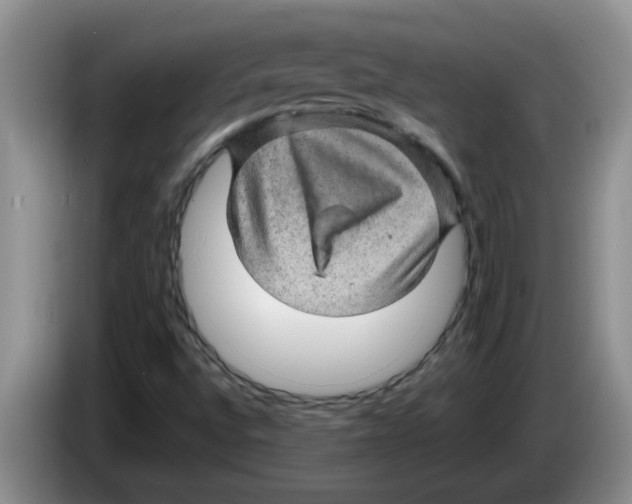 X0000083581496200703091647