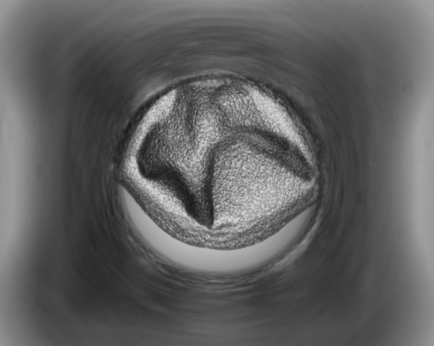 X0000083581497200703091647