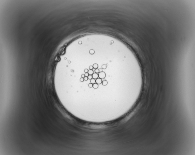 X0000083581498200703091647