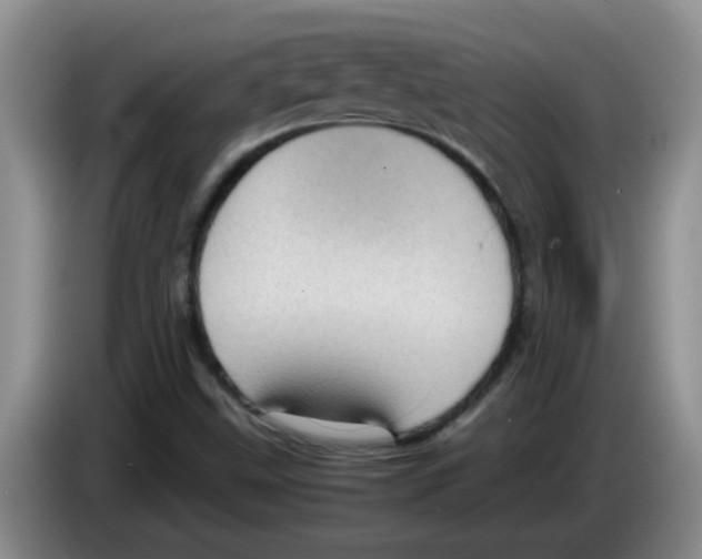 X0000083581499200703091647