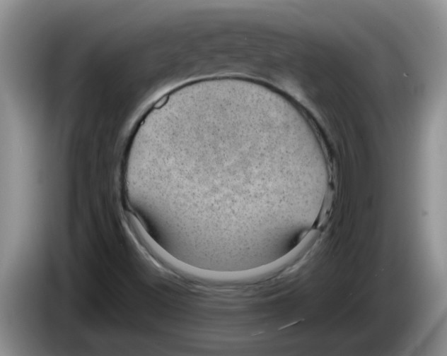 X0000083581500200703091647
