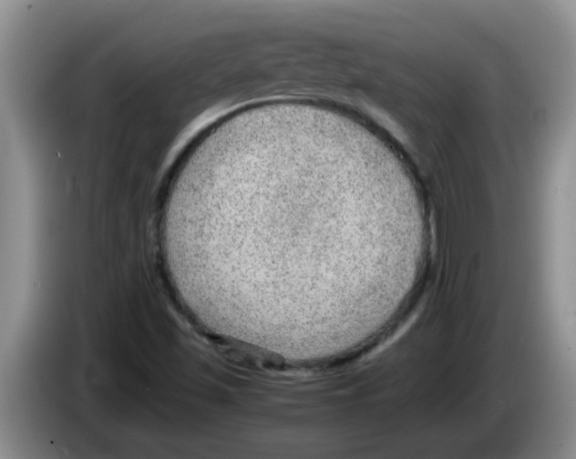 X0000083581501200703091647