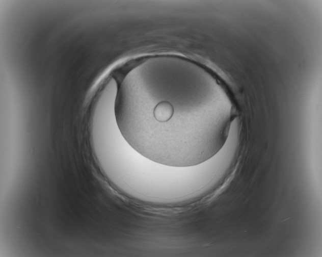 X0000083581502200703091647