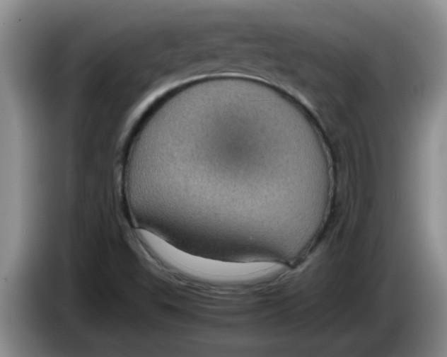 X0000083581503200703091647