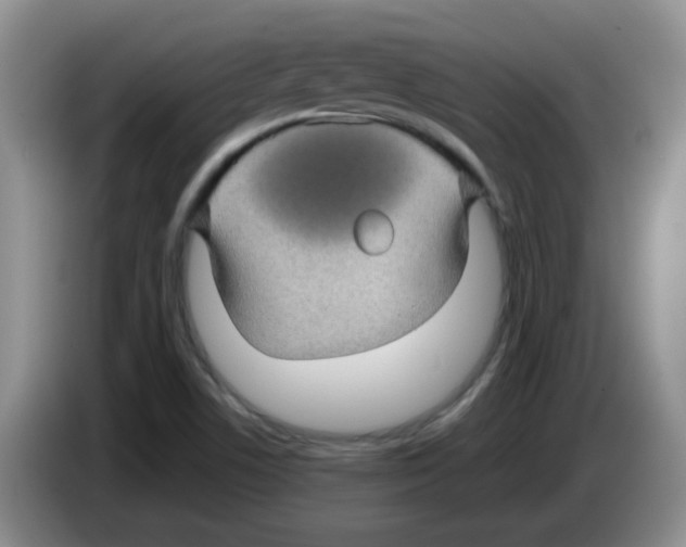 X0000083581506200703091647