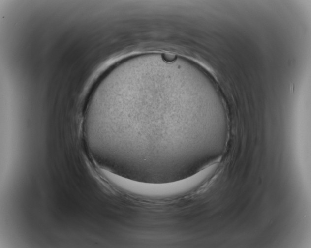 X0000083581507200703091647