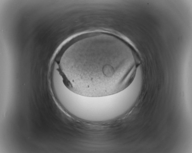 X0000083581508200703091647
